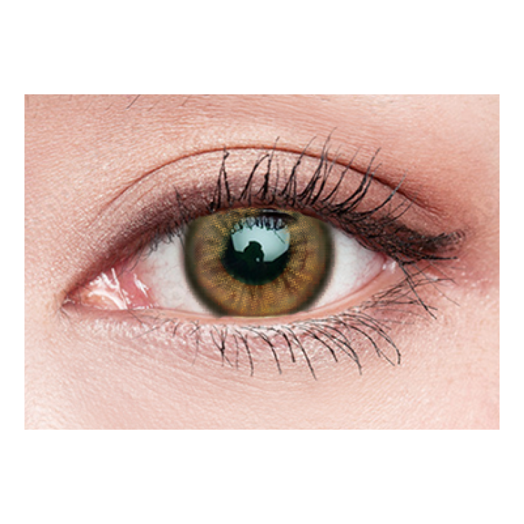 D7 | DAILY COLOURED CONTACT LENSES (Anti-Blue Light) 10PCS