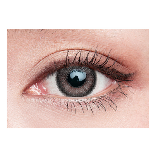 Gray｜ SILCONE DAILY COLOURED CONTACT LENSES 10PCS